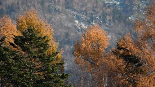 20191110 Ajp Az7 0447.00 00 06 119.still001