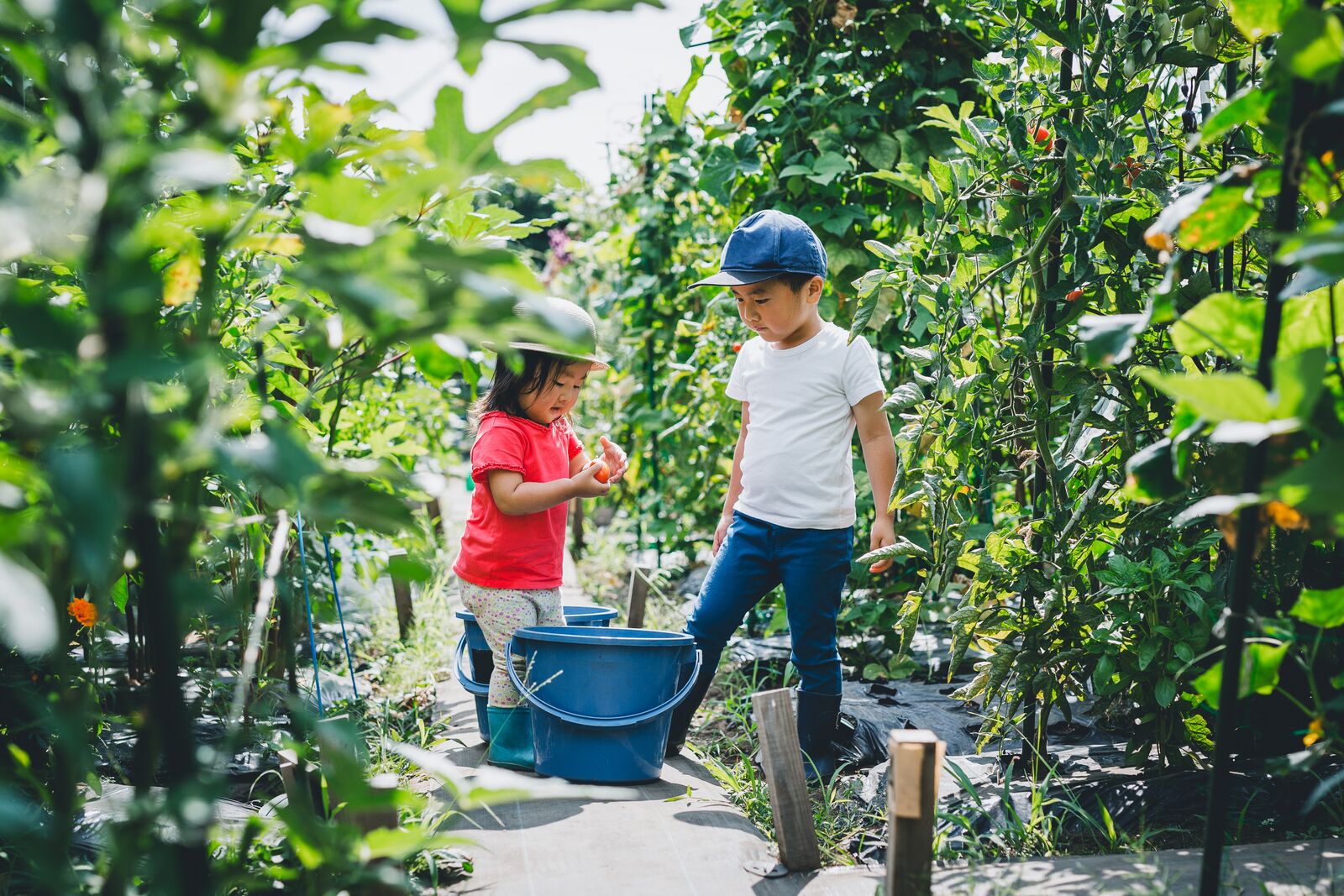 Farm to Table Experience