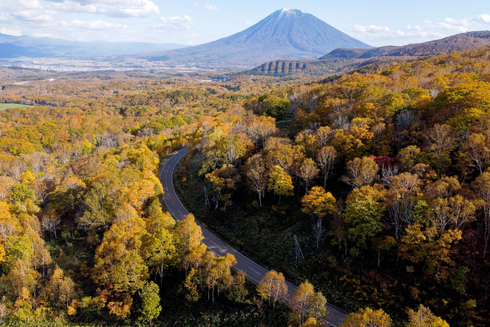 秋の森林浴を楽しむ: ニセコと周辺のおすすめ紅葉スポット | Setsu Niseko