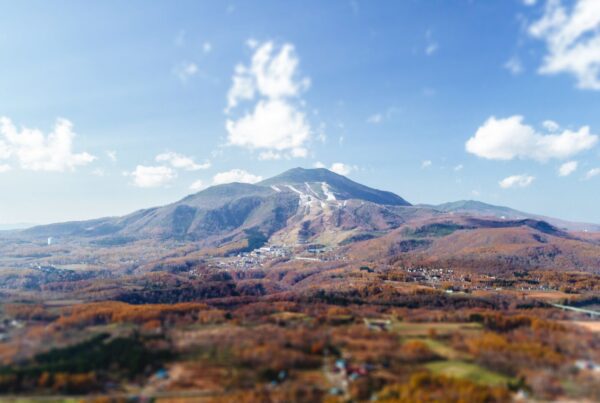 Autumn Annupuri Drone Shot Color Edited Resized