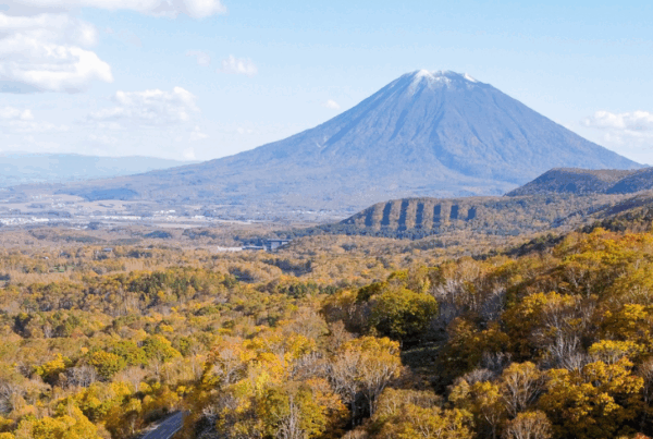 Autumn Leaves Panorama