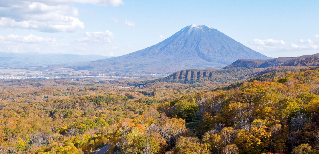 Autumn Leaves Panorama