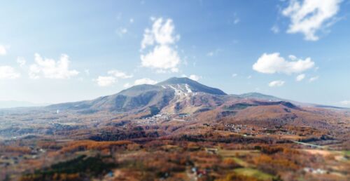 Autumn Leaves In Niseko Tbr