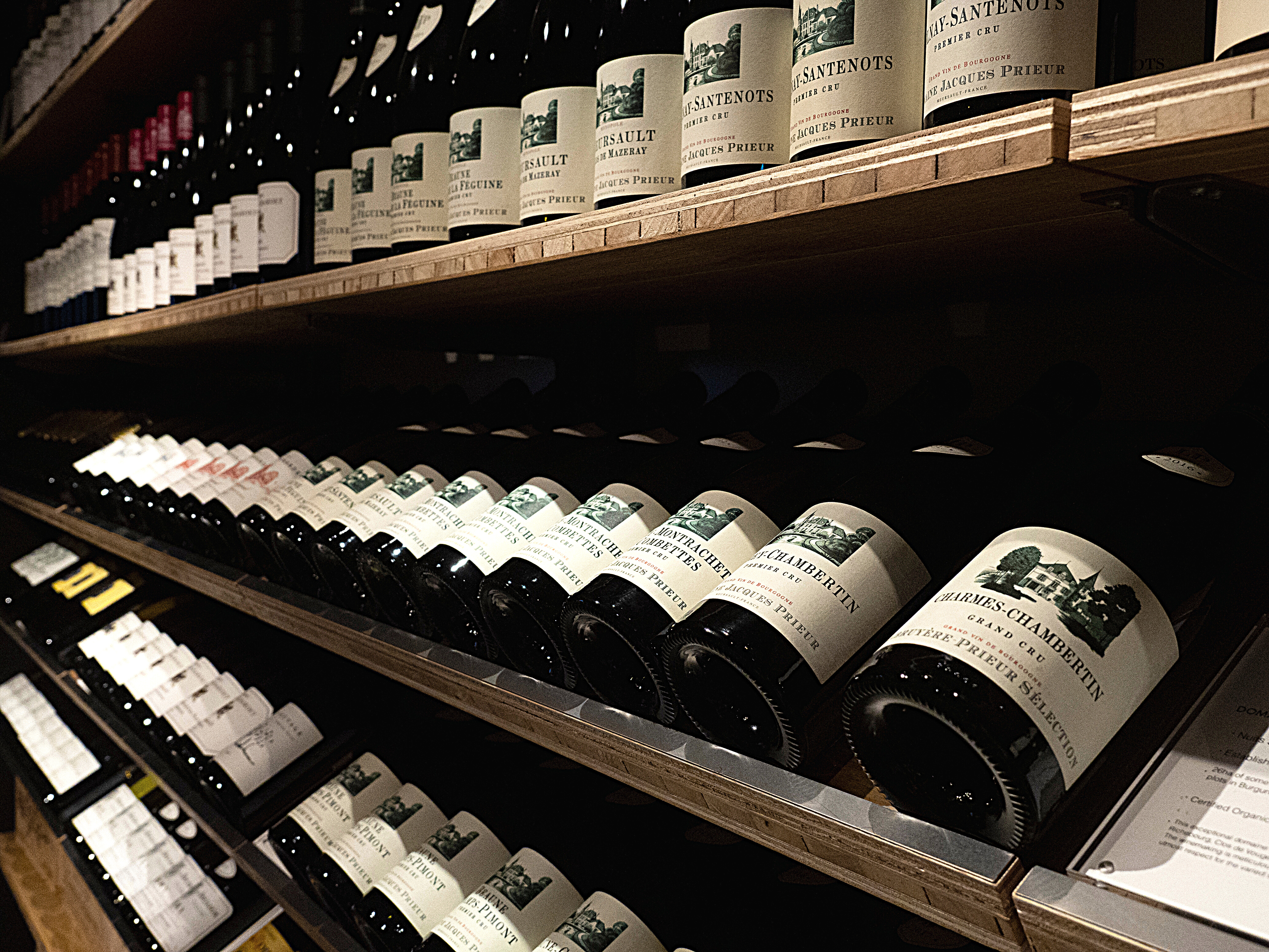 Cellar Door Aoyama (2)