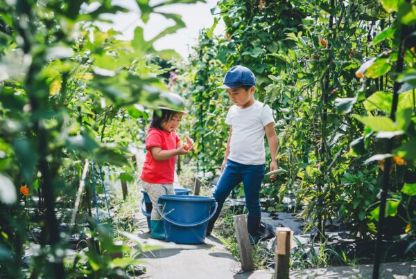 Farm To Table Color Edited