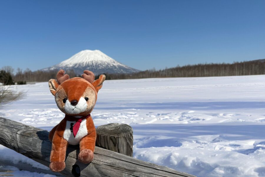 羊蹄山のベストフォトスポット | Setsu Niseko