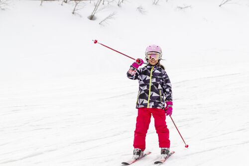 Ski Rental Tone Down