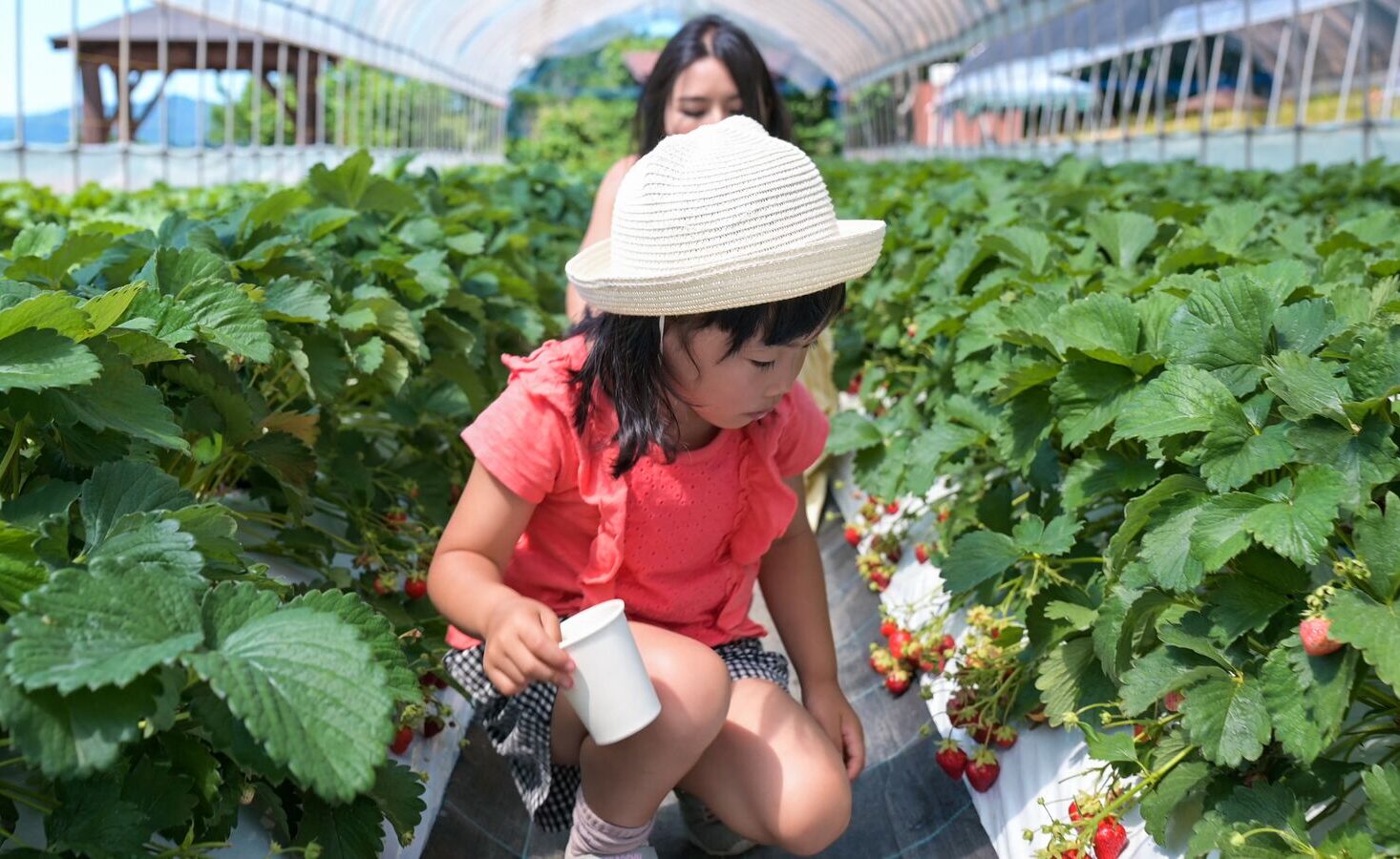 2025 Summer Long Stay Rate