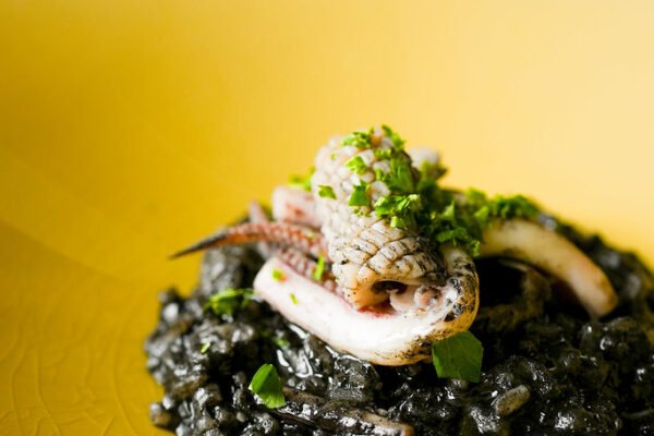 Meli Melo 2025 Autumn Dinner Course (4)